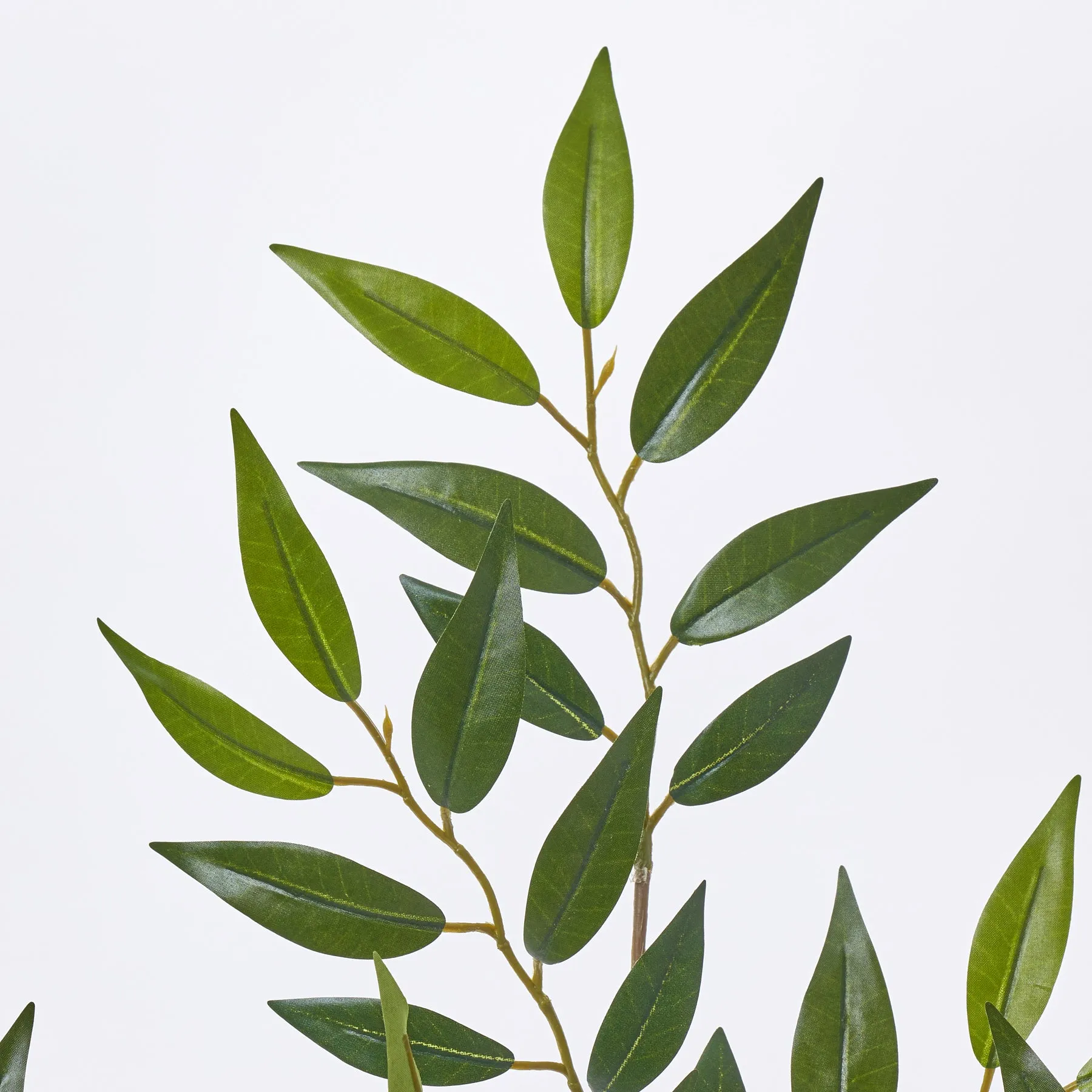 All Season Smilax Leaf Branch Everyday Faux Greenery Spray -19"