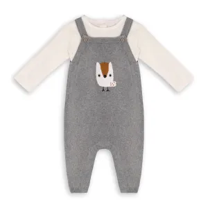 Owl Applique Sweater Knit Baby Overall & Bodysuit