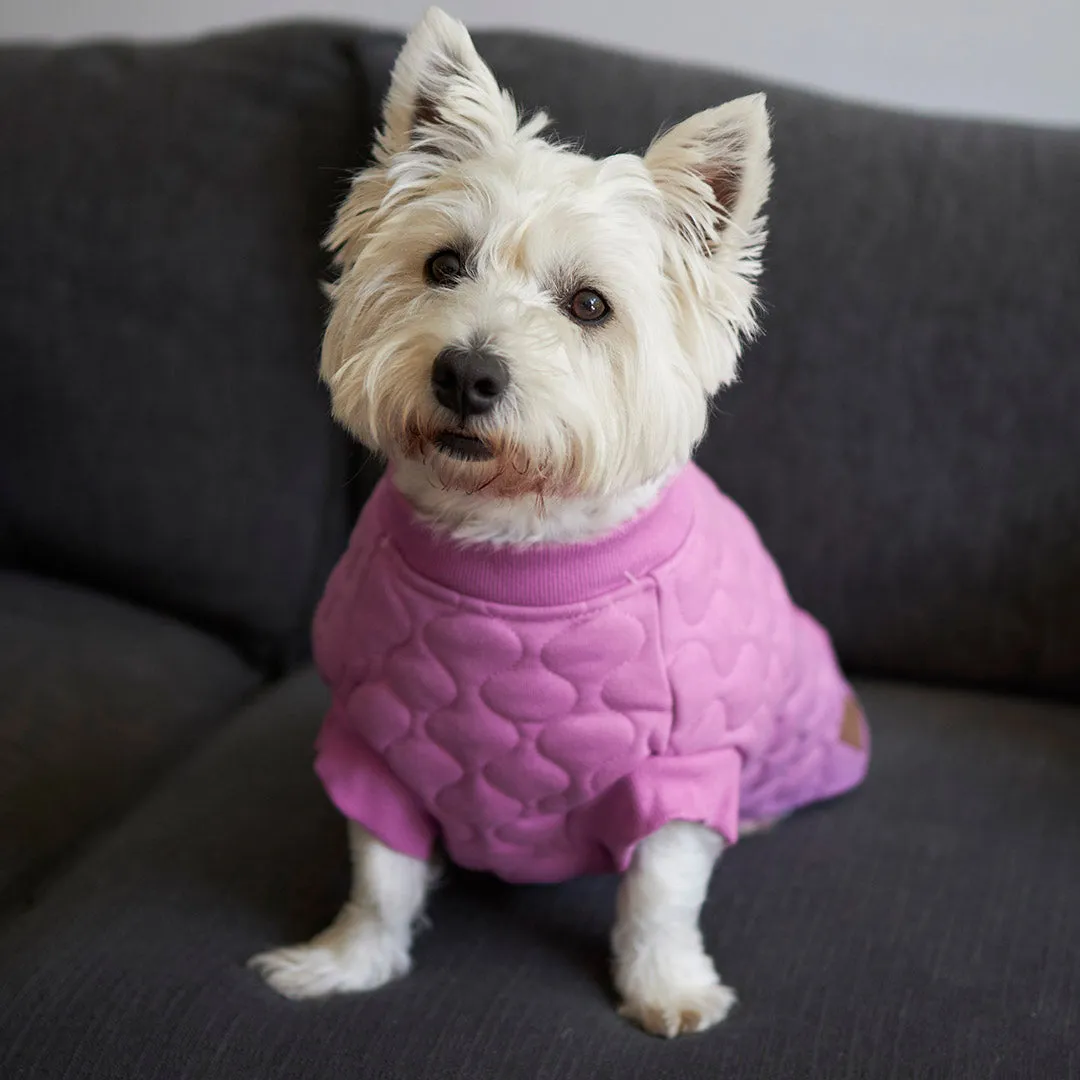 Pink Petal Dog Jacket